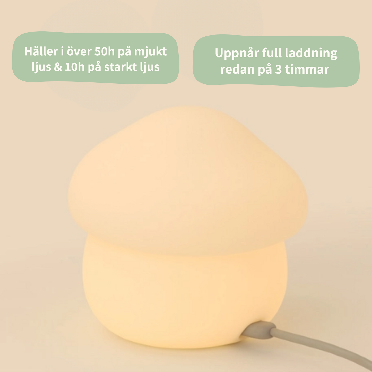 Nattlampa Svampen